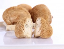 新鲜猴头菇的功效与作用禁忌,新鲜猴头菇的营养价值