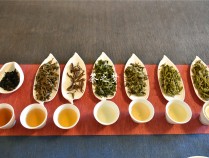 茶叶的种类与功效,茶叶的种类功效和作用