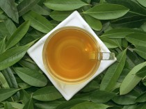 巴拉圭草茶的功效,巴拉圭茶提取物的功效